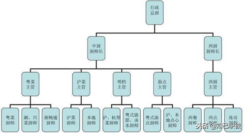 酒店管理職業(yè)規(guī)劃 立足行業(yè)現(xiàn)狀，洞悉組織脈絡(luò)
